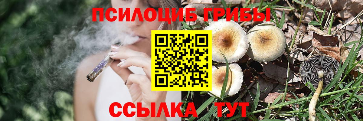 Псилоцибиновые грибы ЛСД  Псилоцибиновые грибы Psilocybine cubensis  дарнет шоп  Вход с VPN  Ижевск 